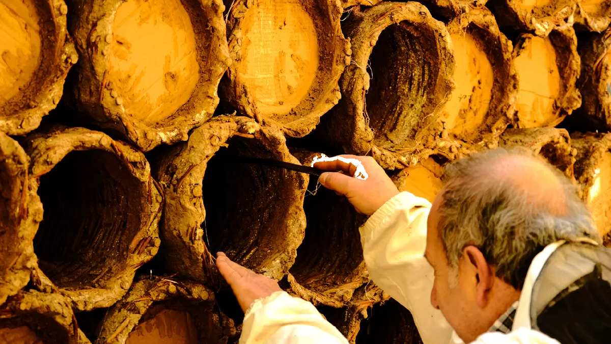 1.200 çiçeğin özünden elde edildi, 45 ülkeyi tek tek eledi! Türkiye’nin o şehrine “Altın ödül” geldi