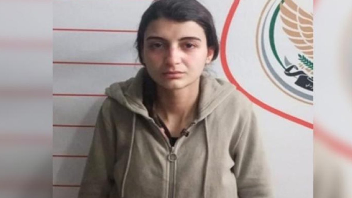 Türkiye'ye sızmaya çalışan PKK'lı terörist yakalandı