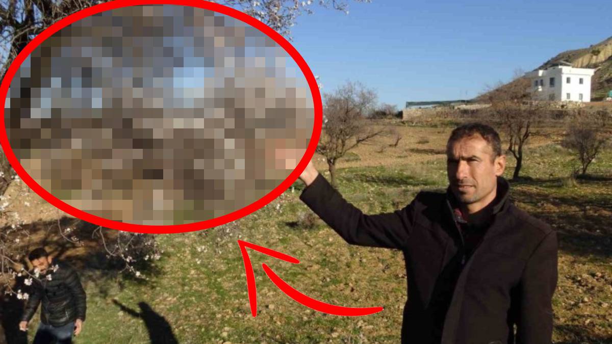 Felaket ufak ufak geliyor! Batman’da ağaçlara bakan çiftçilerin dizlerinin bağı çözüldü: ‘Bu durum hiç iyi değil’