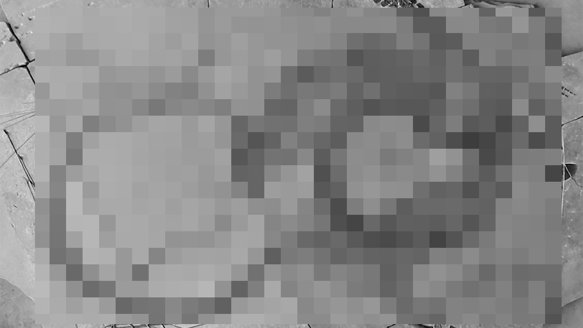 Görür görmez kazmaya başladılar: Topraktan çıkana kimse inanamadı! Tam 240 milyon yıllık keşif