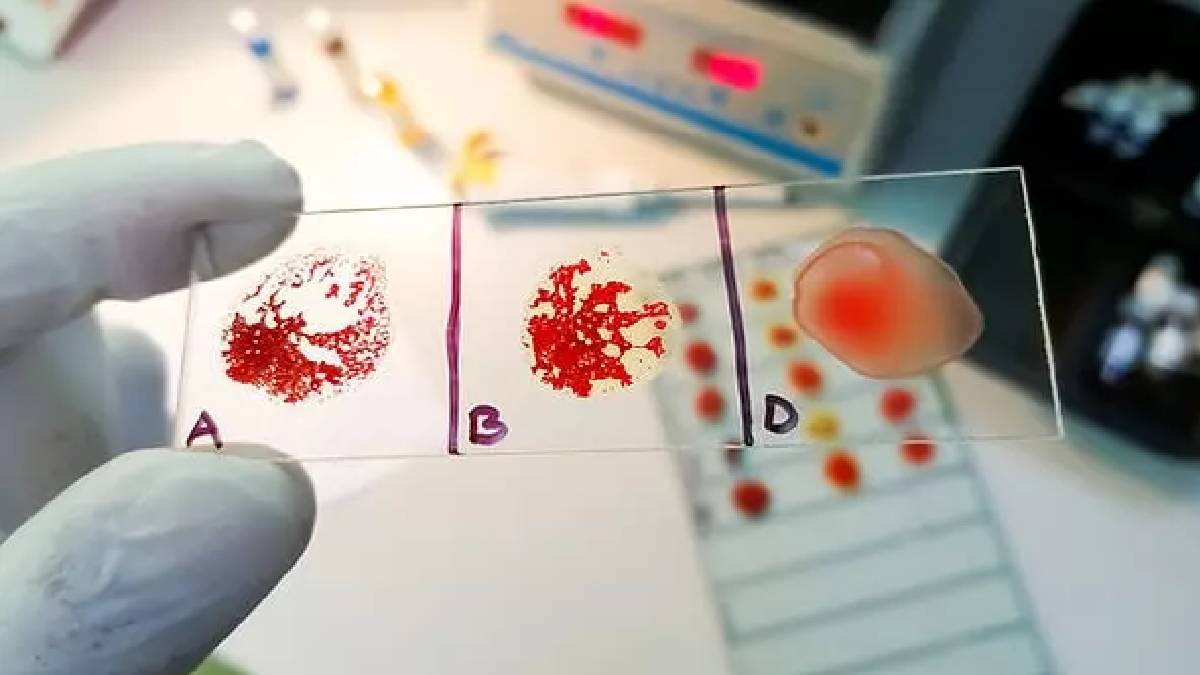 Bu kan grubunun yalnızlığına değmeyin! Evde misafir görmeyi sevmiyor! İşte misafir sevmeyen kan grubu