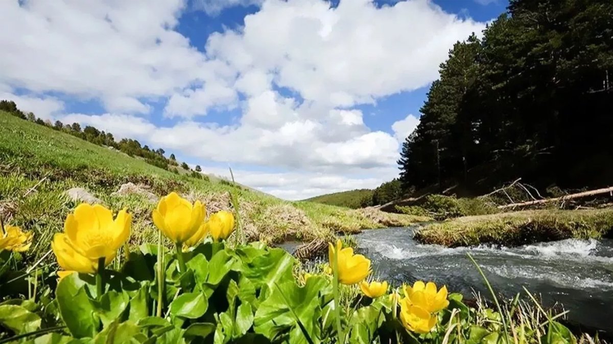 Baharın müjdecisi ikinci cemre suya düştü