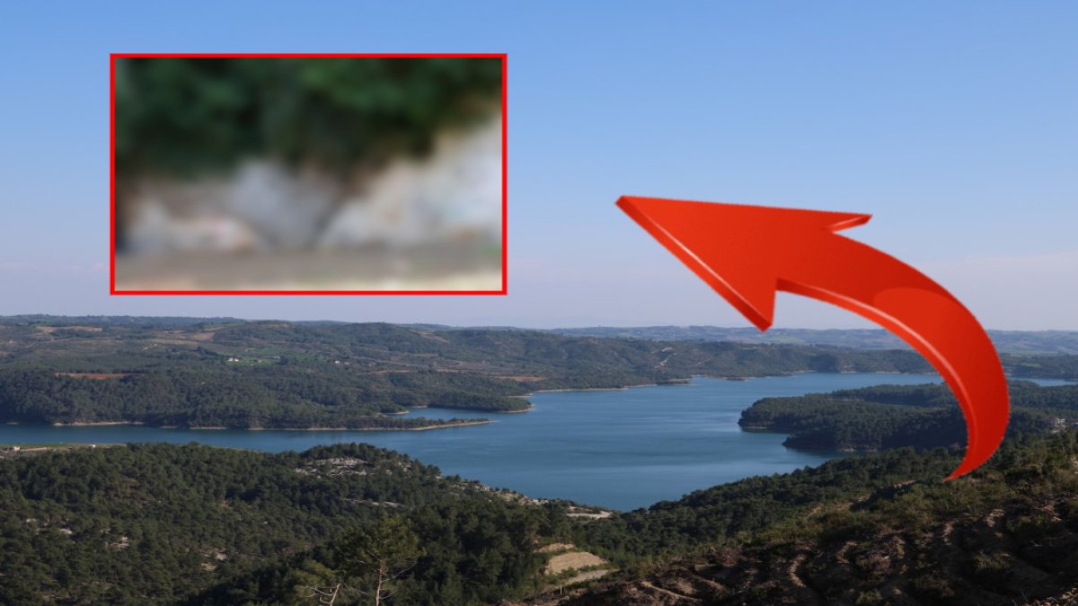 Adana'da nadir bilinen bir doğa harikası! Dünyanın dört bir yanından onu görmeye geliyorlar: 4 bin yıllık, boyu 20 metre