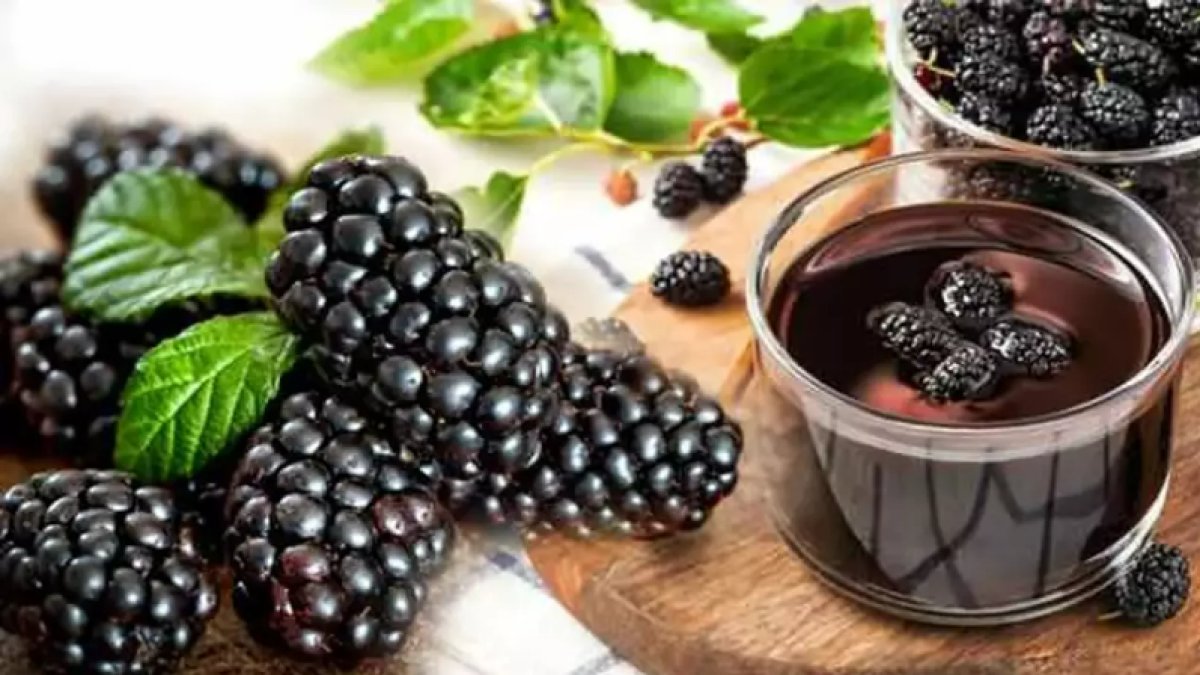 Karadut Özü Faydaları: Doğanın Şifalı Sırrı