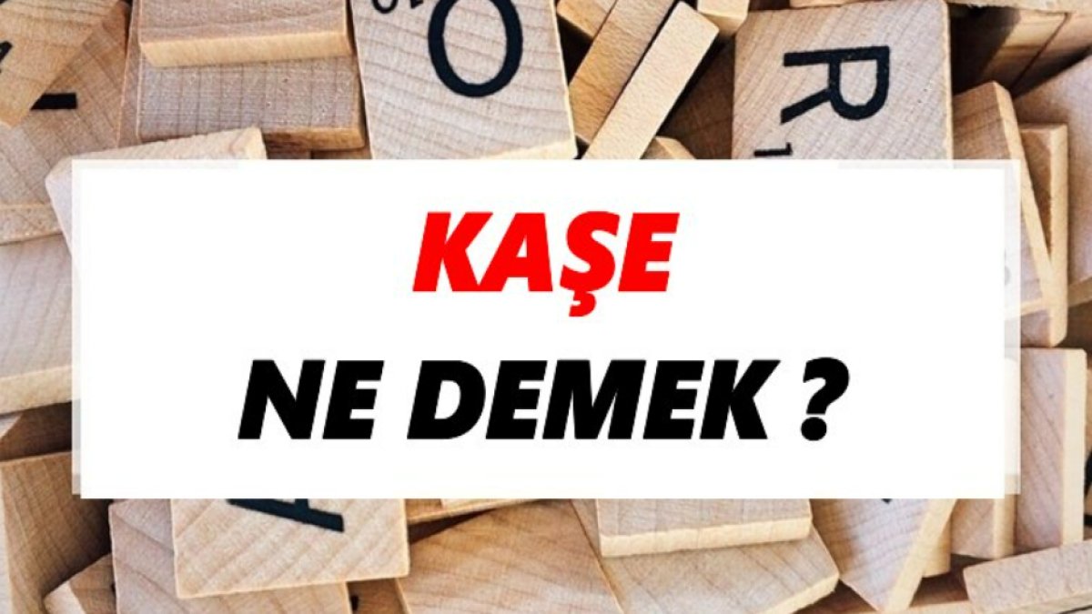 Kaşe Nedir? - İşte Detaylı Bir İnceleme