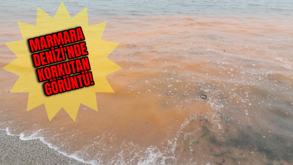 Marmara'da denizin rengi panik yarattı... O görüntü depremin habercisi mi? Koca deniz tupturuncu oldu!