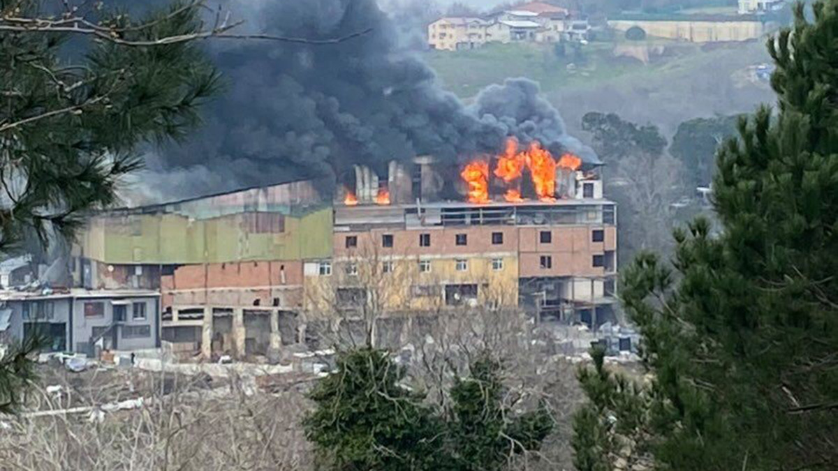 Beykoz'da fabrika yangını! Müdahale sürüyor