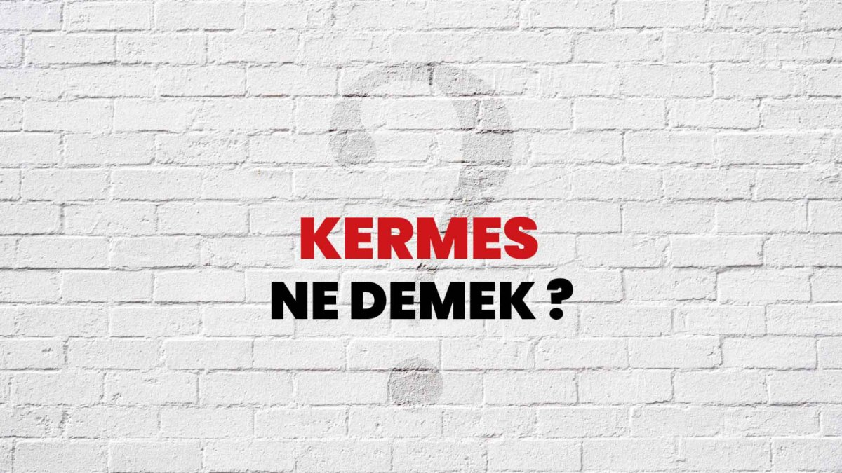Kermes Nedir: Türkçede Bilinmeyen Bir Terim Hakkında
