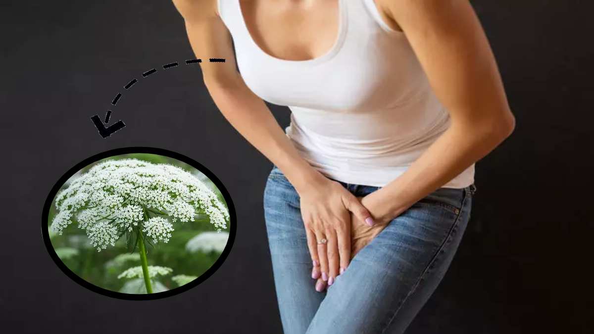 Adını duyunca dalga geçenler her yerde bu çiçeği arıyor! Abdestbozan otunun binbir derde devası çıktı