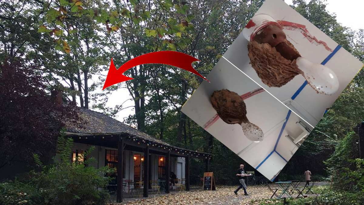 Evinin içinde bu gizemli şeyi görünce 1 saniye bile geçirmeden yetkilileri aradı! Gördükleri manzara karşısında şok oldular