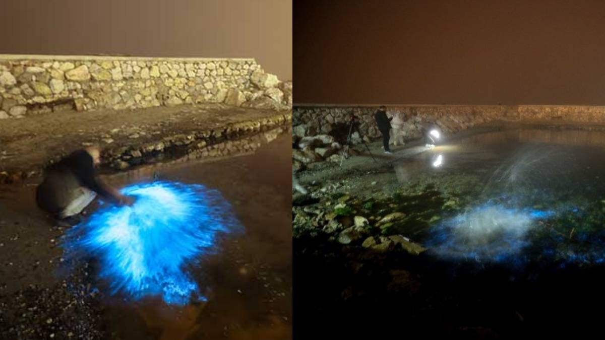 Uzay filmi değil gerçek! Marmara denizine elini soktu öyle bir ışık çıktı ki… Hemen resmi yetkilileri aradı