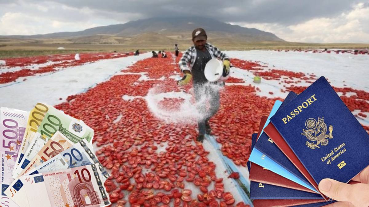 Bu fırsat kaçmaz! O ülke Türkiye'den 3 bin euro maaşla işçi alacak: Pasaport sorunu da yok