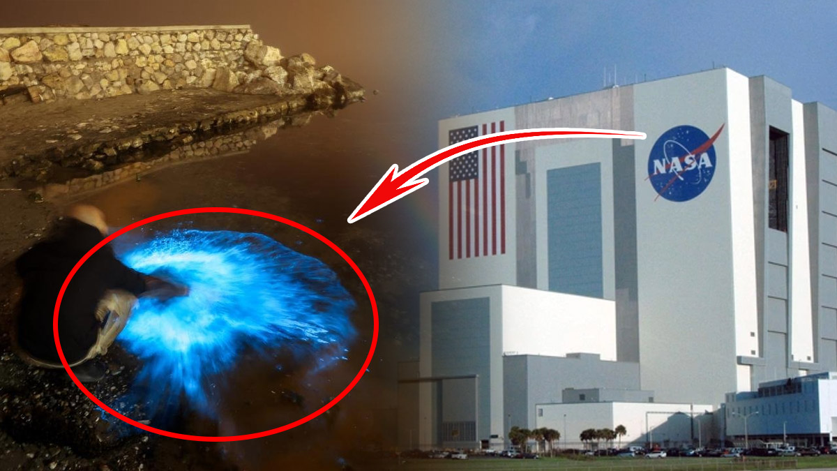 Dünya miadını dolduruyor! Marmara denizinde de görülmüştü: NASA'dan açıklama geldi...