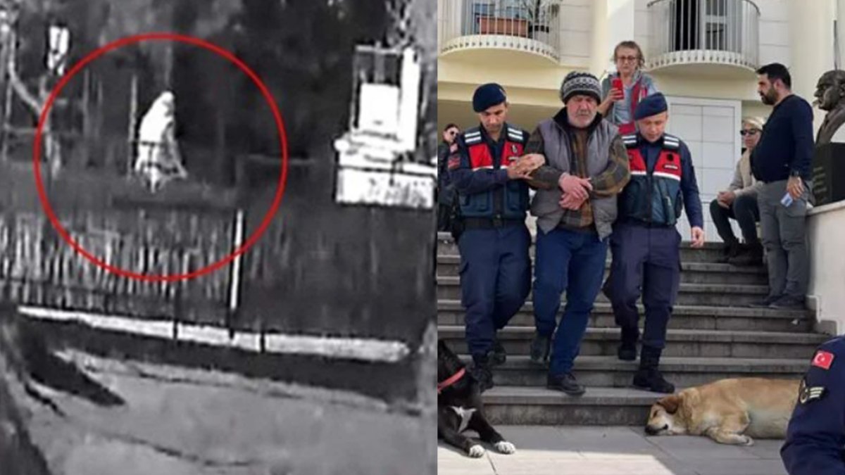 4 köpek, 3 kediyi zehirleyerek öldüren caniden akılalmaz savunma: Kendilerini MİT'çi olarak tanıtanların dediklerini..