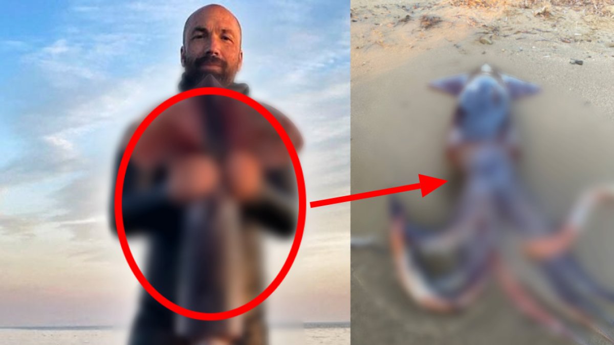 Zıpkınla denizde avladı! O yaratık insan boyunda: Dalış yaptığı sırada karşısına çıktı