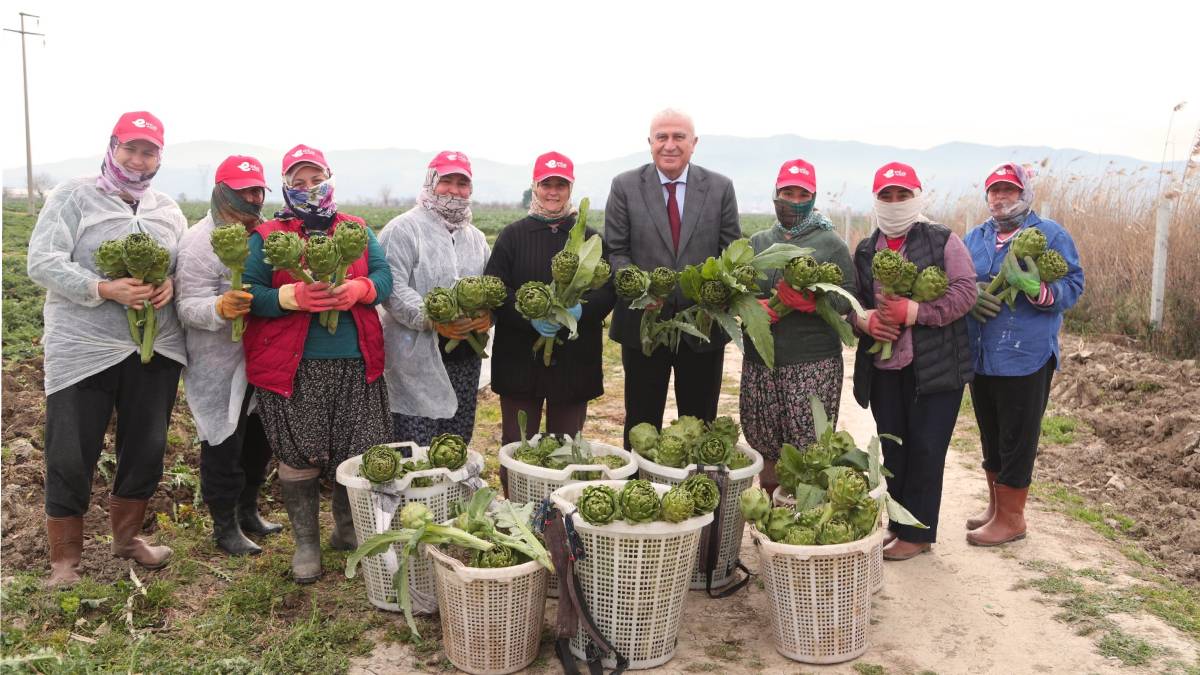 Başkan Atay’dan enginar kuşkonmaz ve şevketi bostan hasadı