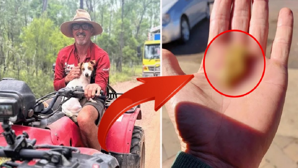 Başıboş dolaşırken ayağına bir şey takıldı ve aniden kazmaya başladı! Öyle bir şey buldu ki... Herkes oraya akın ediyor