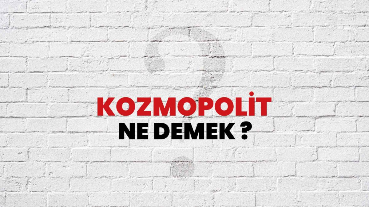 Kozmopolit Ne Demek?