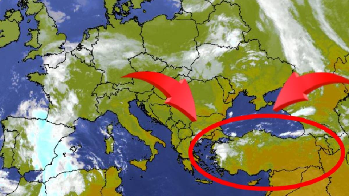 Gördüğünüz yerde vurun! Asya üzerinden sürüyle geliyorlar: Bir ısırığı hayatınızı karartabilir