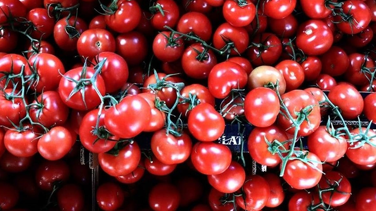 Gıda enflasyonu yükselmeye devam ediyor: Domates fiyatlarında rekor artış