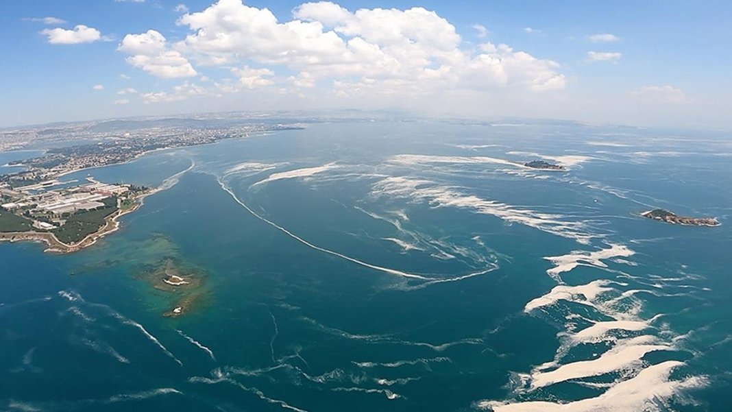 Marmara ölüyor! Uzmanlardan bir an önce 'tedbir' çağrısı