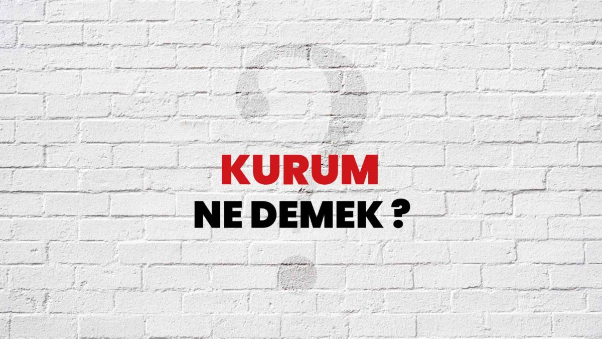Kurum Nedir?