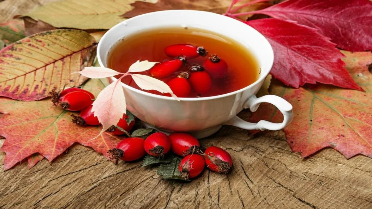 Kuşburnu Çayının Faydaları: Sağlık ve Zindelik İçin Harika Bir İçecek