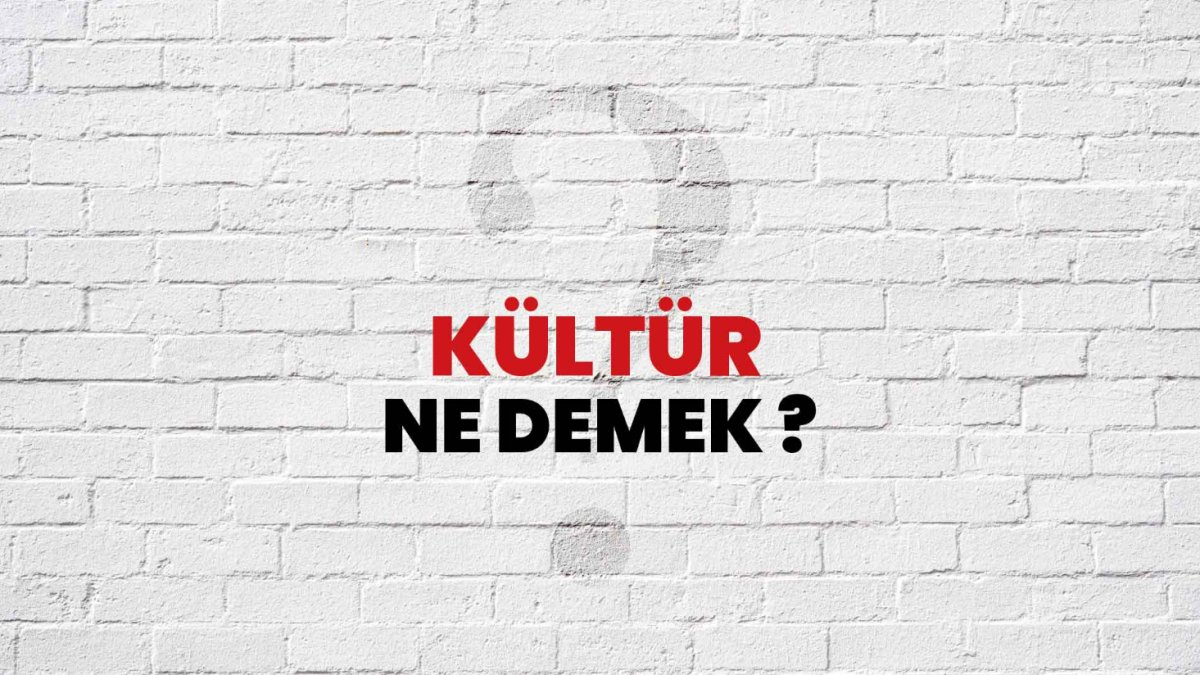 Kültür Ne Demek?