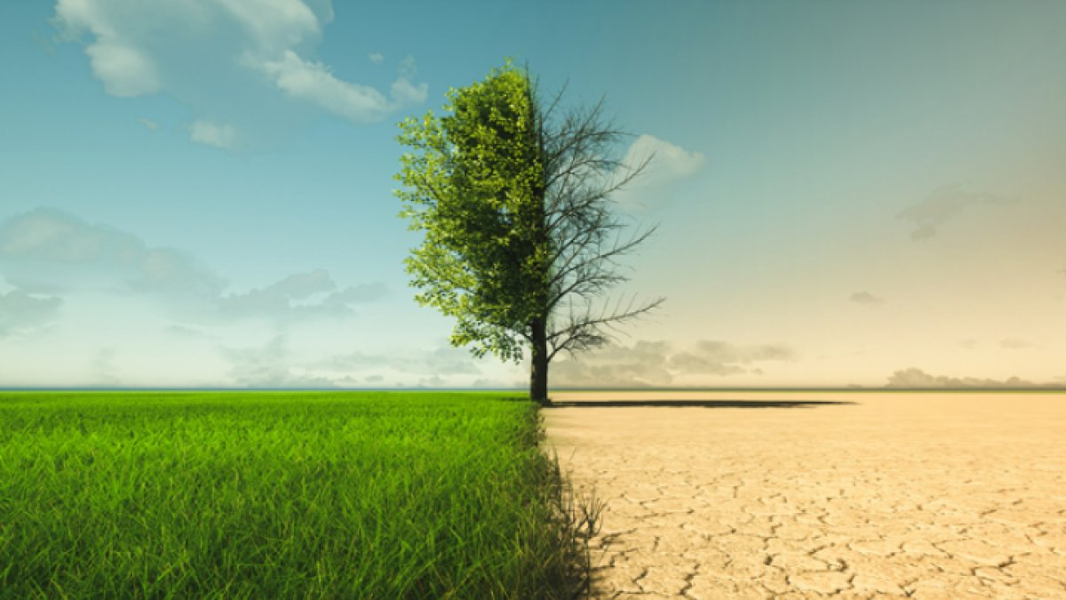 Küresel Isınmanın Nedenleri