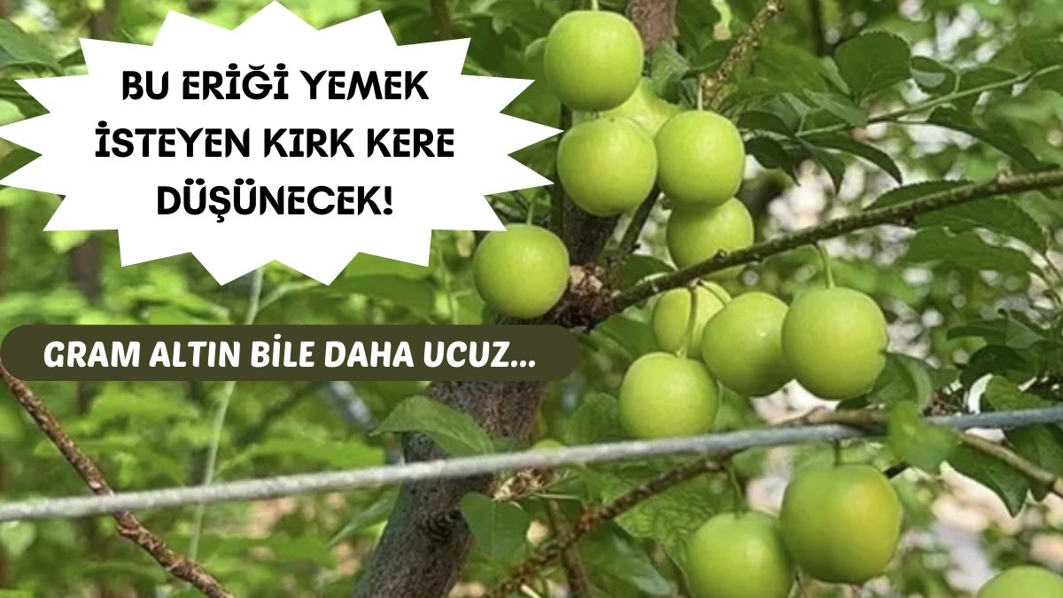 Bu fiyatı duyan erikle arasına mesafe koyacak! Gram altından bile daha pahalı…