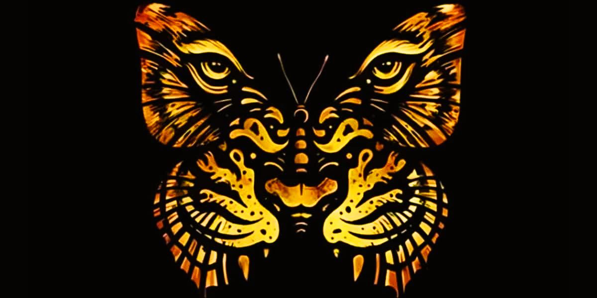 İçgüdülerine güvenebilir misin? İlk algılarınızın sizin hakkınızda neler ortaya çıkardığını keşfedin!