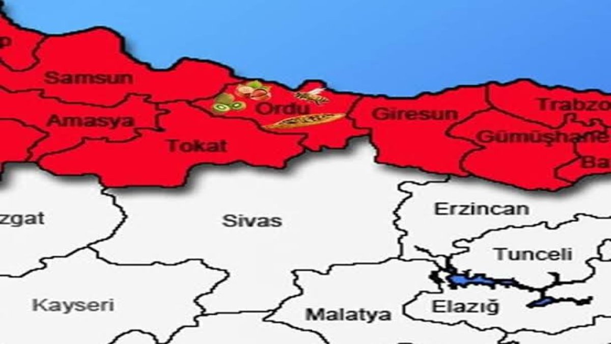 Bu otun mucizesini sadece Ordulular biliyordu! Artık tüm Türkiye öğrendi: Bir ölüme çaresi yok