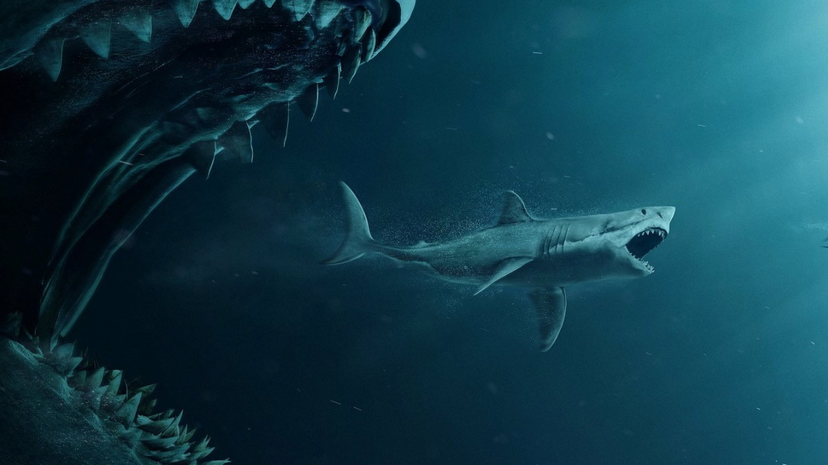 Denizin Yeni Hakimi! Film değil gerçek: Herkesin korkulu rüyası Büyük Beyaz Köpek balıklarını tek lokmada yutuyor