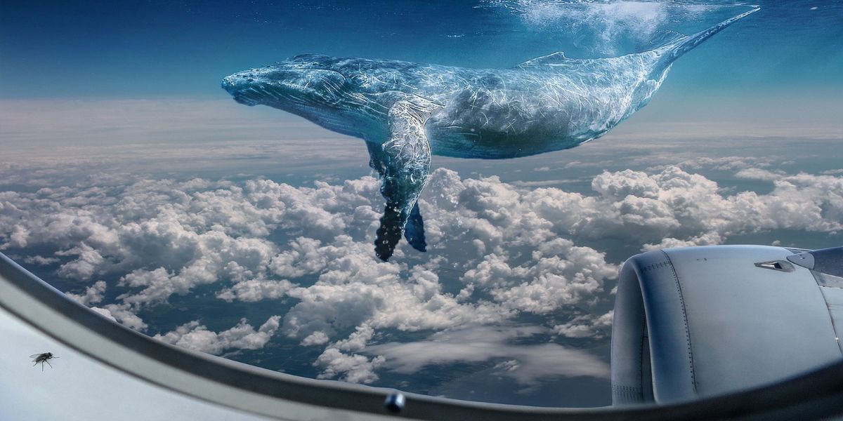 Gerçekten mutlu olmak için hayatta neyi kaçırıyorsunuz? Bu kişilik testiyle öğrenin.