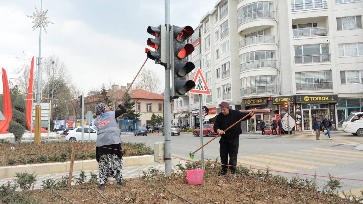 Bozüyük’te trafik ışıkları temizleniyor