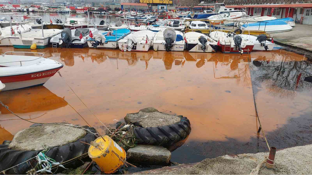 Tekirdağ'da deniz turuncu renge büründü