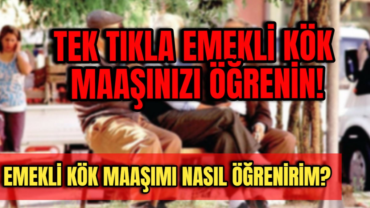 4A / 4B /4C milyonlarca emekliyi kapsıyor! Kök maaş tablosu belli oldu: Hemen tıklayıp öğrenin
