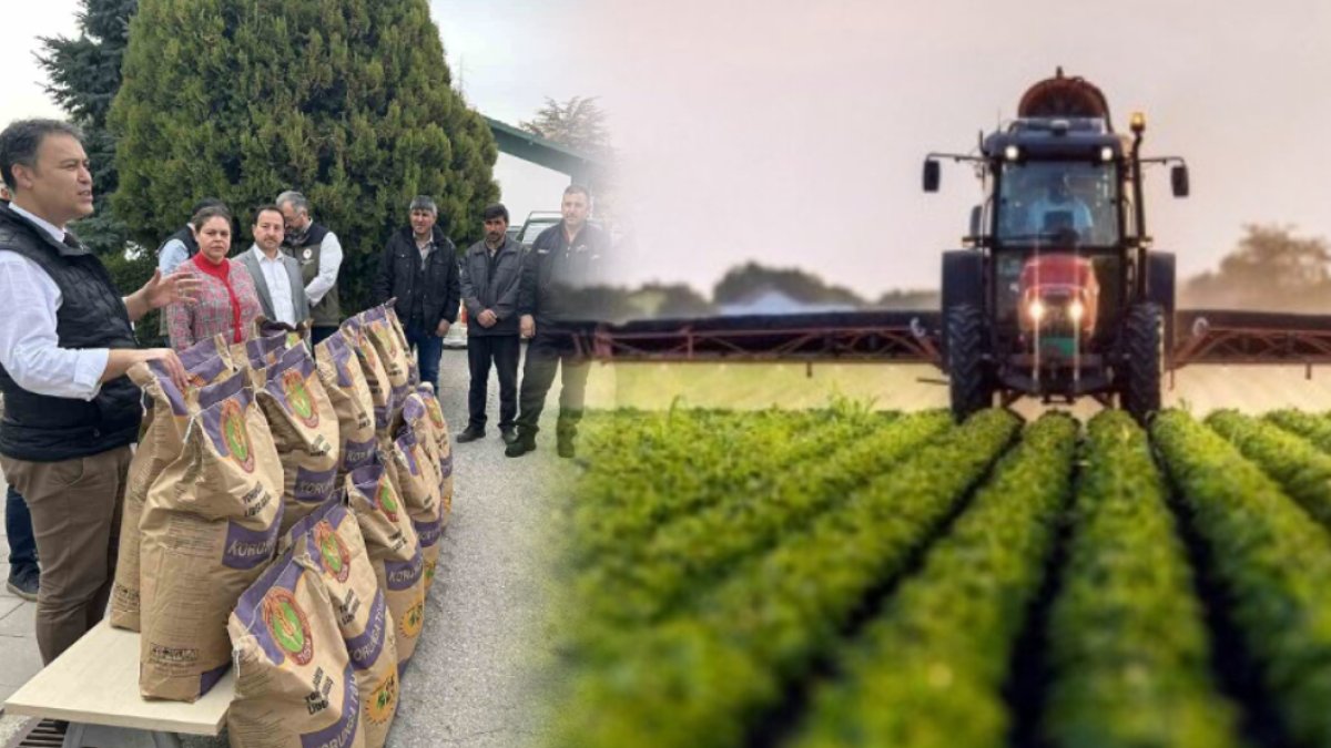 Çiftçilere destek devletten! 9 bin 250 kilogram dağıtıldı