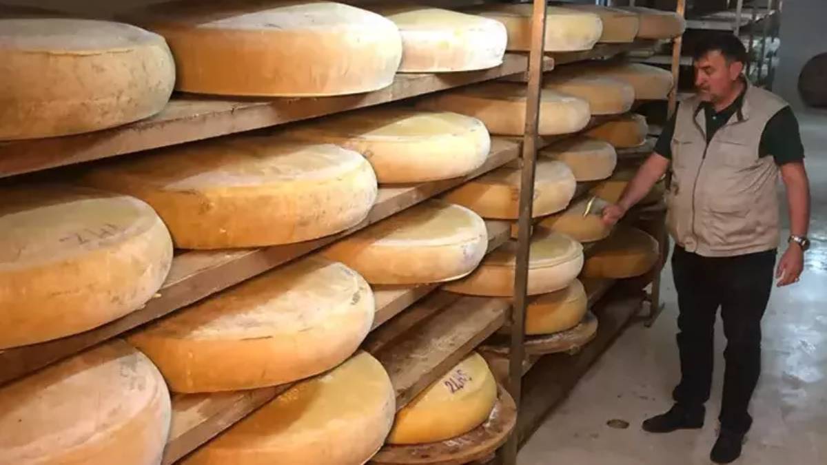 Sadece damakları şenlendirmiyor sağlığa da katkı sağlıyor! Turistler sırf bunun için Türkiye’ye akın ediyor kiloyla alıp gidiyor