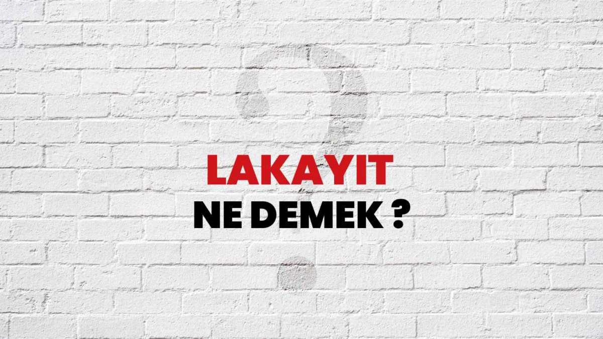 Lakayıt Ne Demek?
