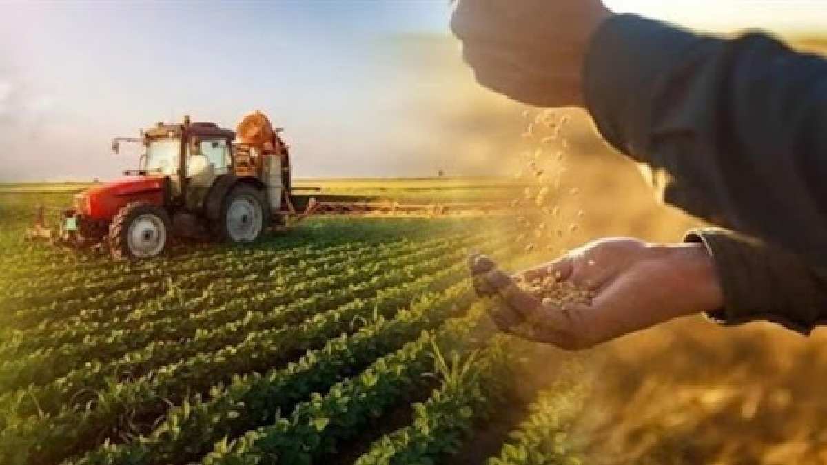 Çiftçilere açıklama geldi! Bugün başlıyor: Yüzde 50 destek sağlanacak! Belgesi olan hemen başvuru yapıyor