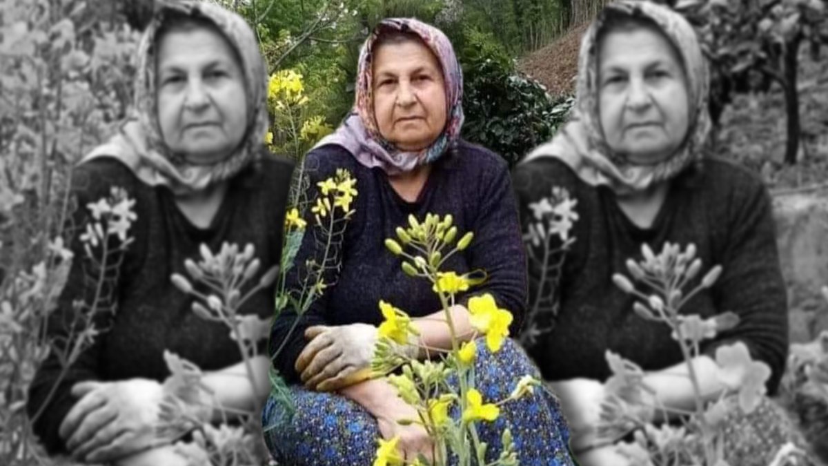 Trabzon'da feci ölüm: Yakacak toplarken kamyonun altında can verdi