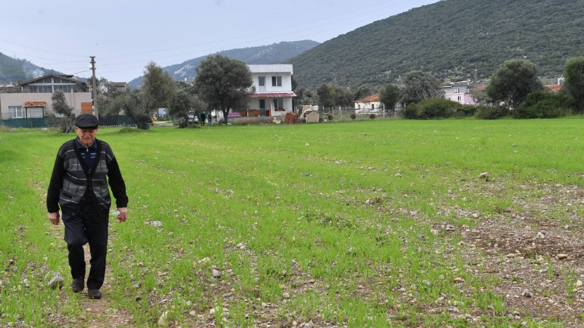 İzmir Büyükşehir çiftçi için arazilerini üretime kazandırdı