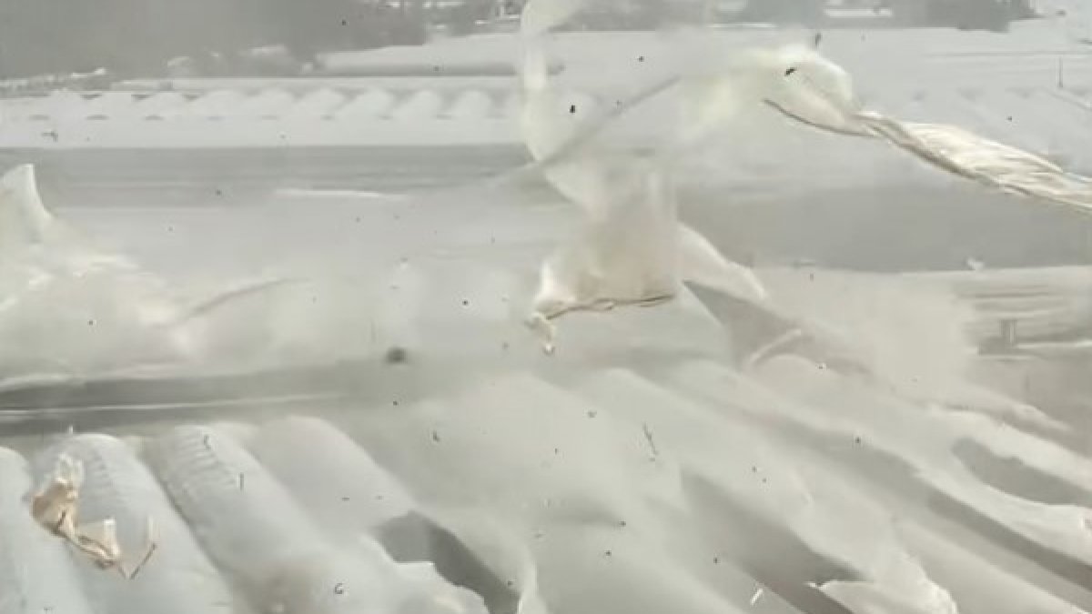 Antalya’da kabus gibi gün! Hortum her şeyi yerle bir etti: O anlar böyle kaydedildi