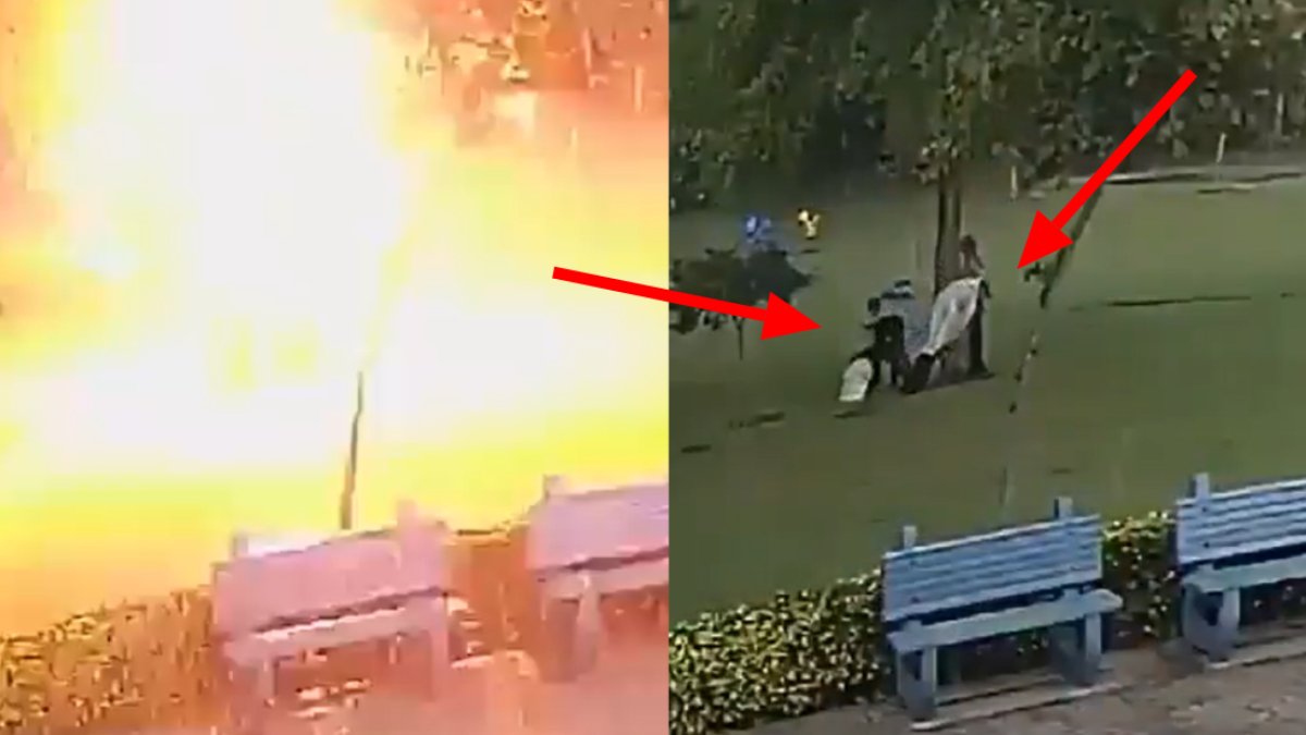 Yağmurdan kaçmak için ağacın altına girdiler! O ağaç onların sonu oldu: Yıldırım düştü