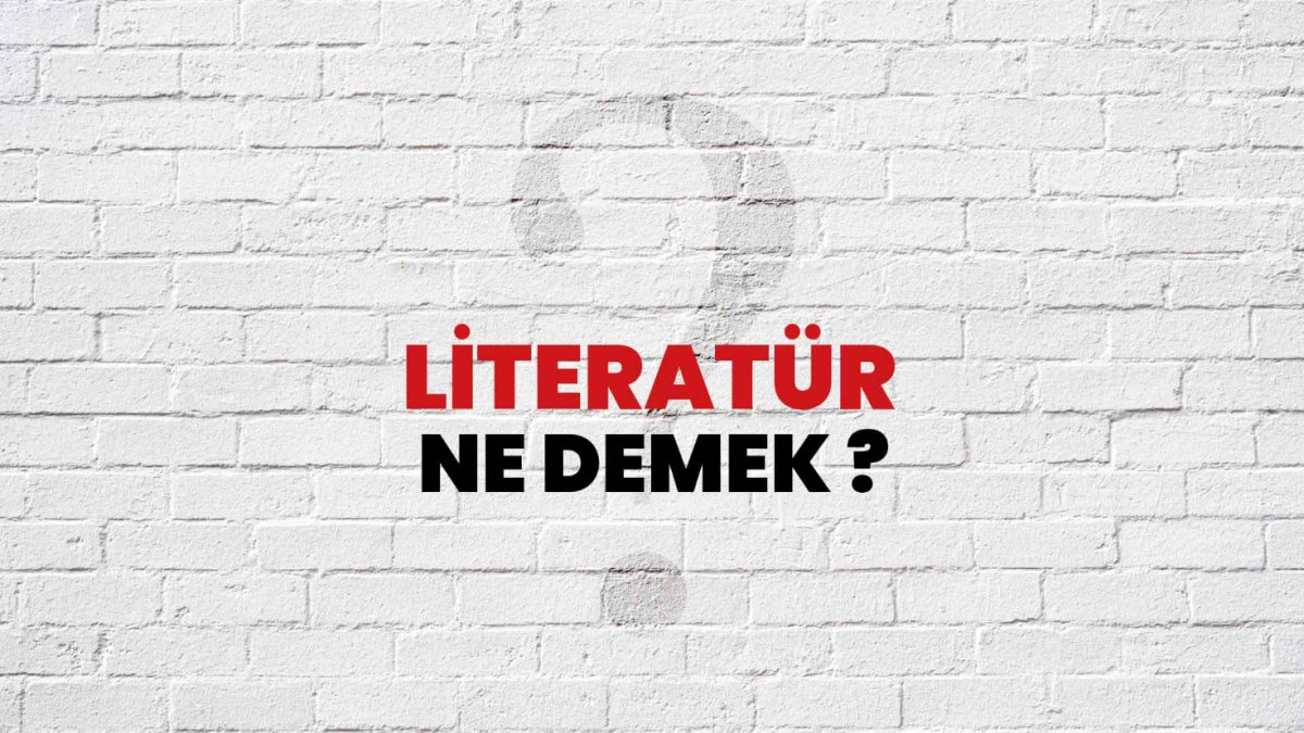 Literatür Nedir?