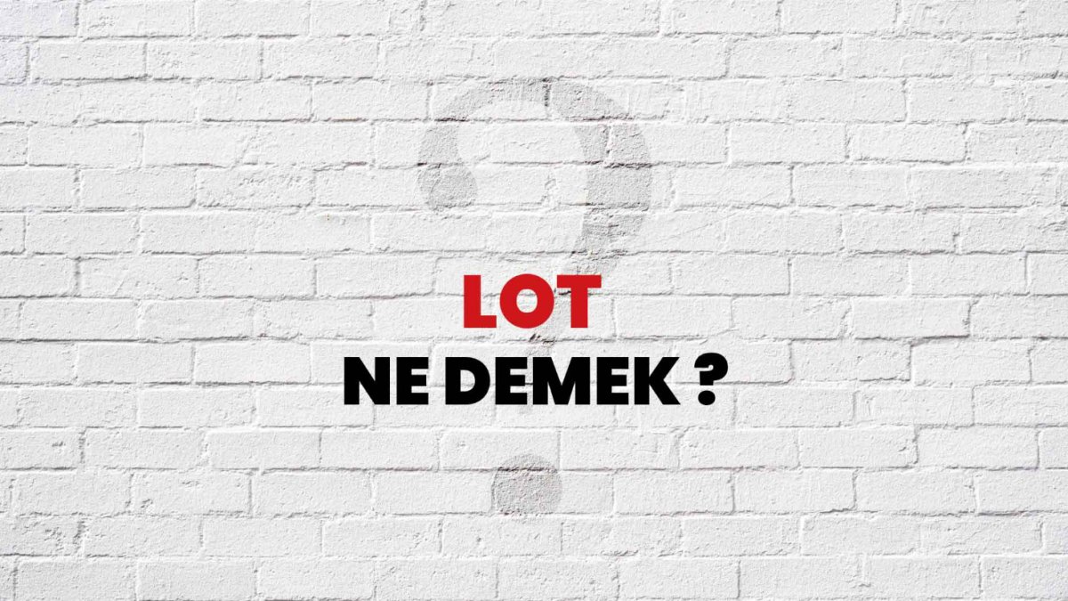 Lot Ne Demek?