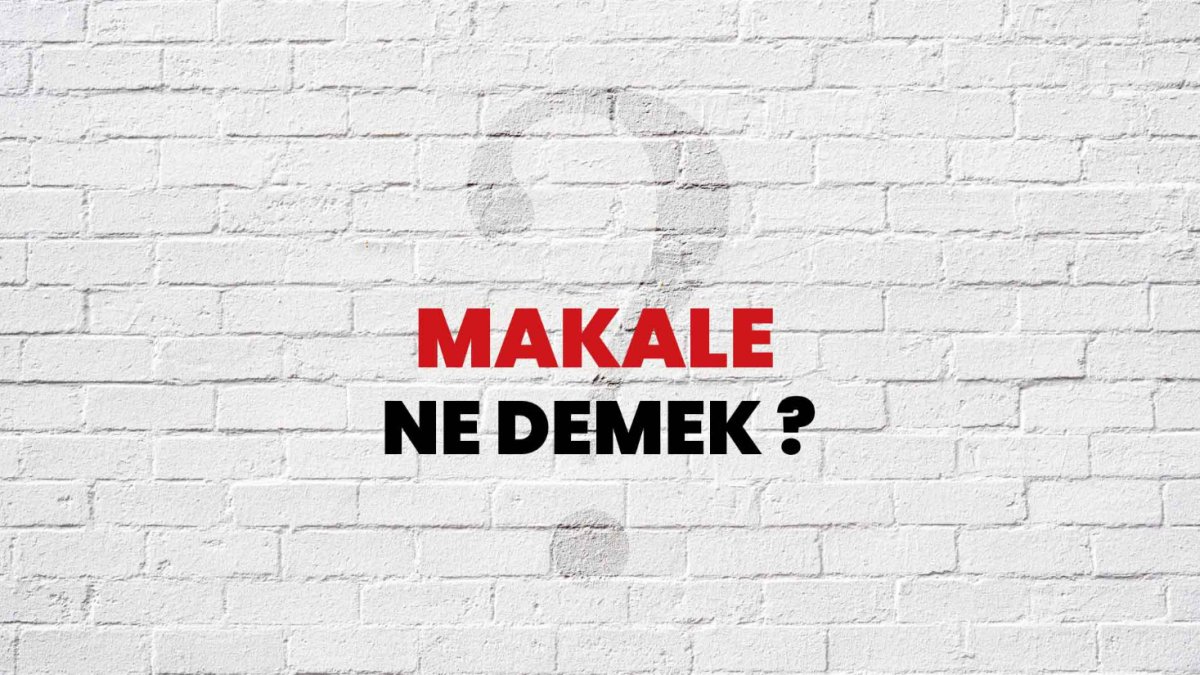 Makale Ne Demek?