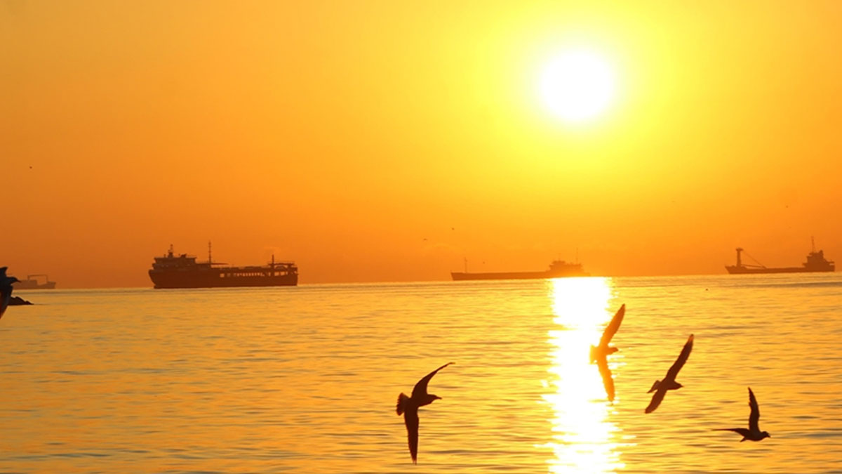 Her ay yeni bir rekor... Copernicus endişelendiren değerleri böyle duyurdu