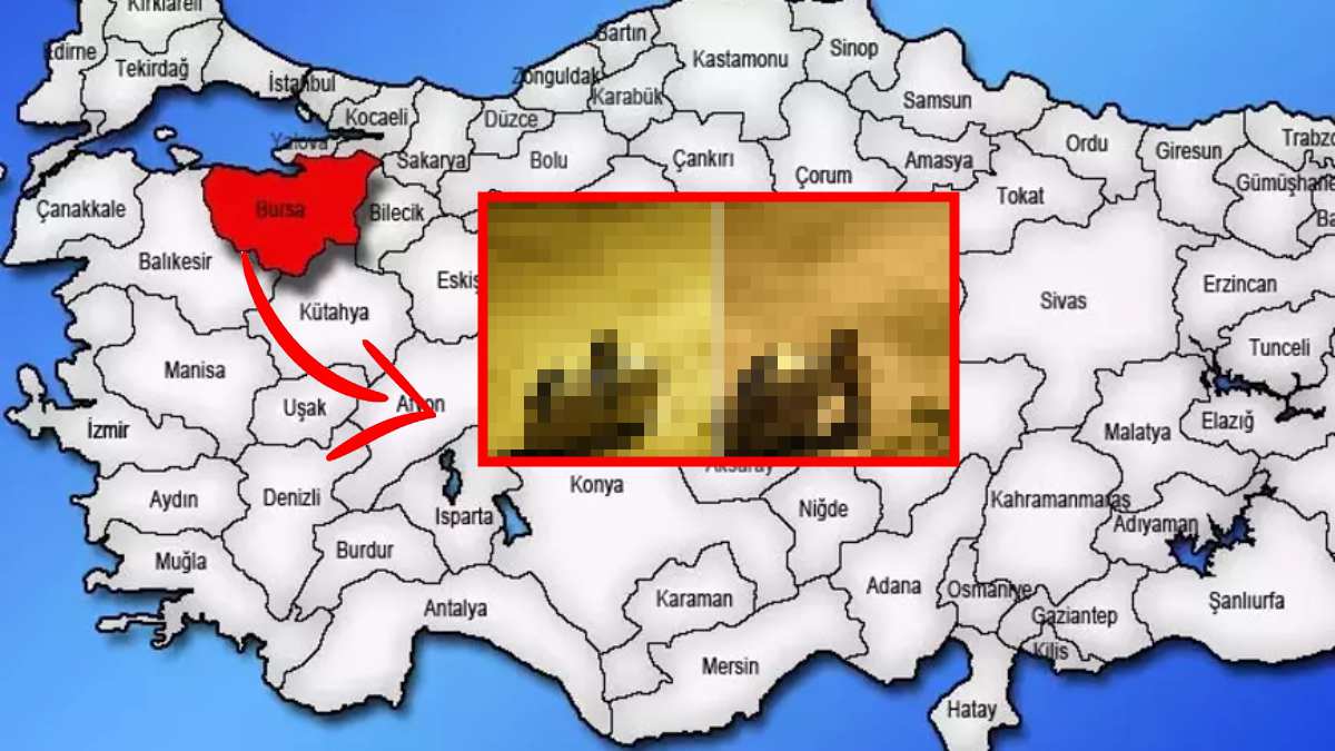 Derin uykusundan bu kez erken uyandı! Koca dev şehre indi her yeri tarumar etti